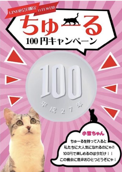 猫カフェぷちまりー ちゅーる100円キャンペーン ラソラ札幌 札幌市白石区のショッピングセンター